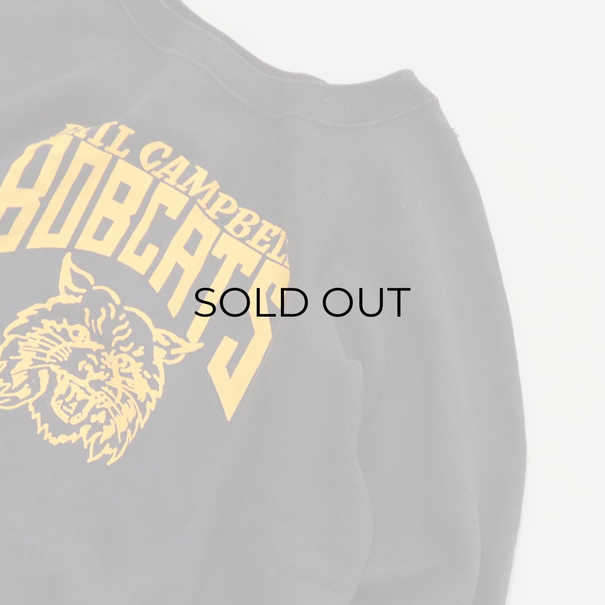 画像3: 80's Pannill PRINT CREW NECK SWEAT "BOBCATS" (3)