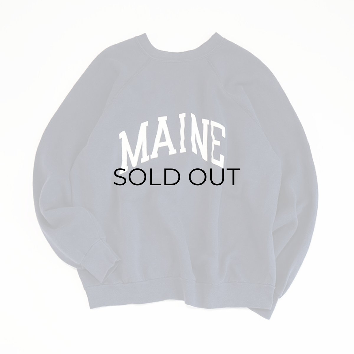 画像5: 80's Tultex PRINT CREW NECK SWEAT "MAINE" (5)