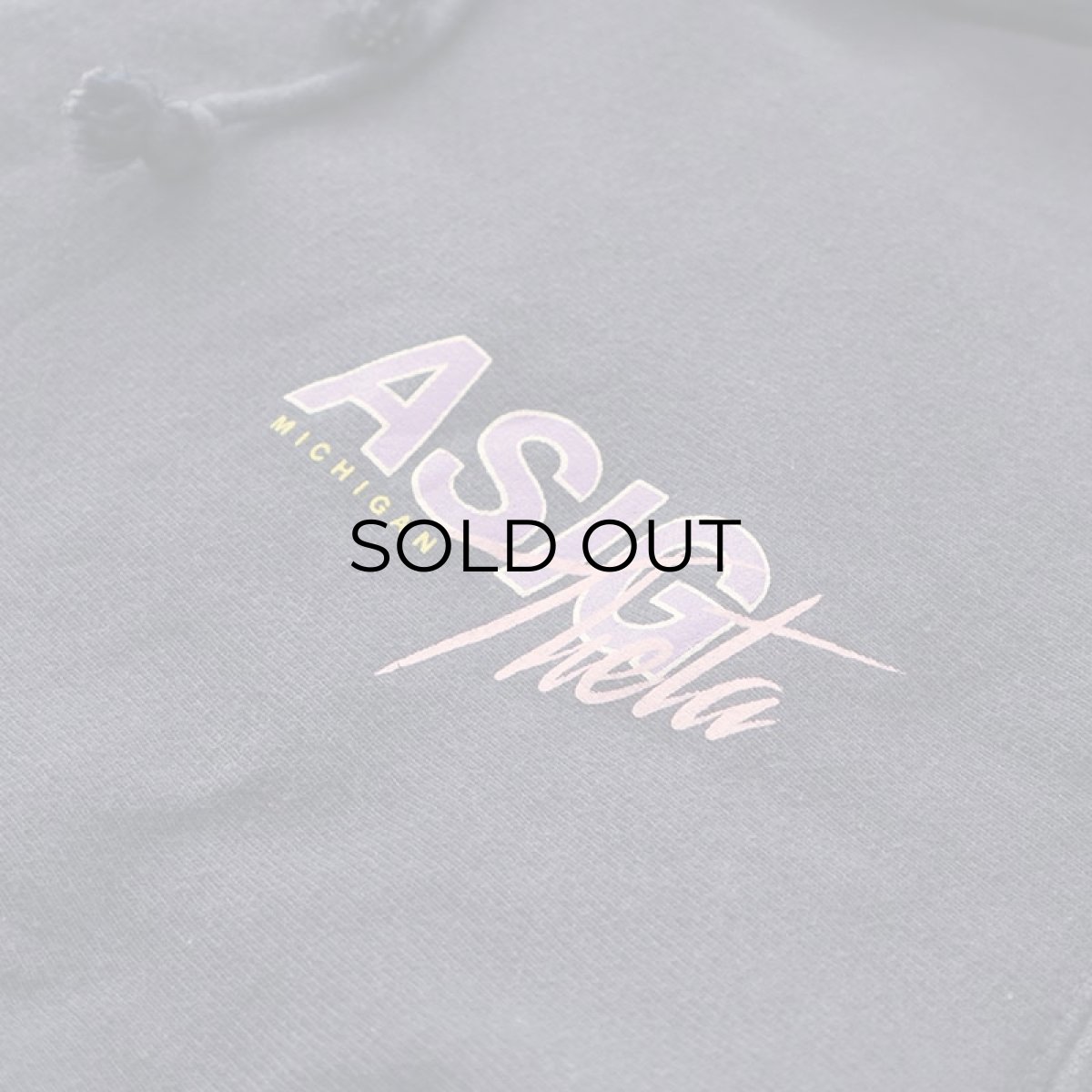 画像12: Champion REVERSE WEAVE PRINT SWEAT PULLOVER PARKA "ASIG Theta MICHIGAN" (12)