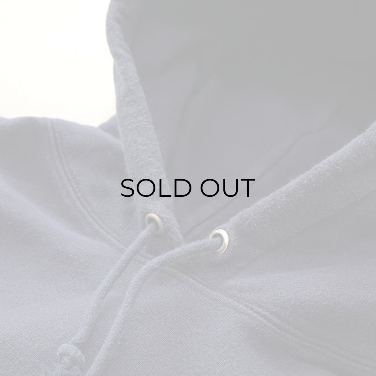 画像14: Champion REVERSE WEAVE PRINT SWEAT PULLOVER PARKA "ASIG Theta MICHIGAN" (14)