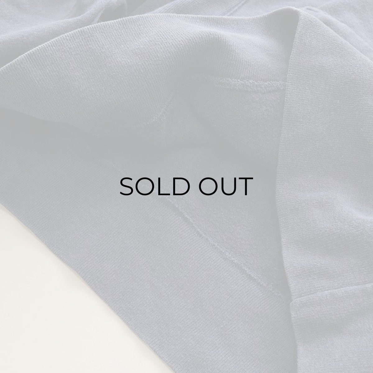 画像11: Champion REVERSE WEAVE PRINT SWEAT PULLOVER PARKA "ASIG Theta MICHIGAN" (11)