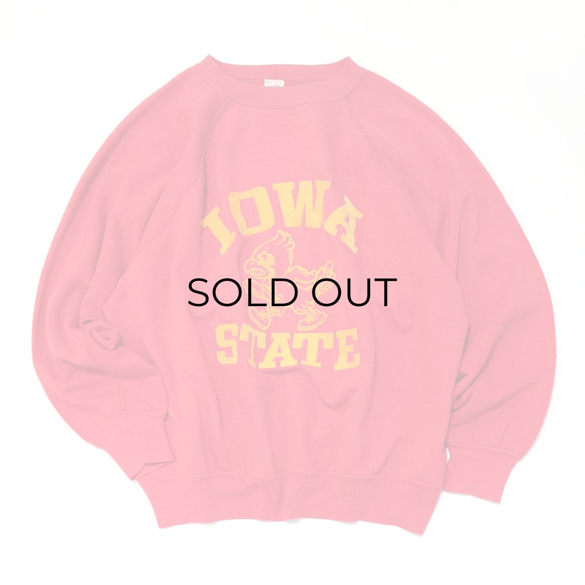 画像5: 〜80's ALTEX FLOCKY PRINT CREW NECK SWEAT "IOWA STATE" (5)