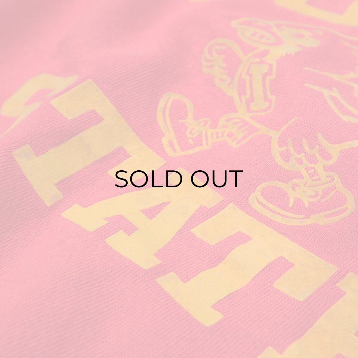 画像9: 〜80's ALTEX FLOCKY PRINT CREW NECK SWEAT "IOWA STATE" (9)