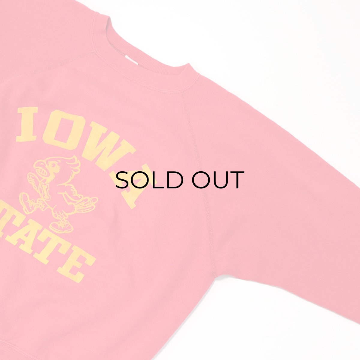 画像8: 〜80's ALTEX FLOCKY PRINT CREW NECK SWEAT "IOWA STATE" (8)