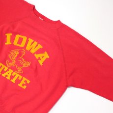 画像8: 〜80's ALTEX FLOCKY PRINT CREW NECK SWEAT "IOWA STATE" (8)