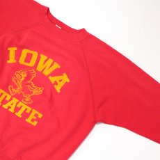 画像8: 〜80's ALTEX FLOCKY PRINT CREW NECK SWEAT "IOWA STATE" (8)