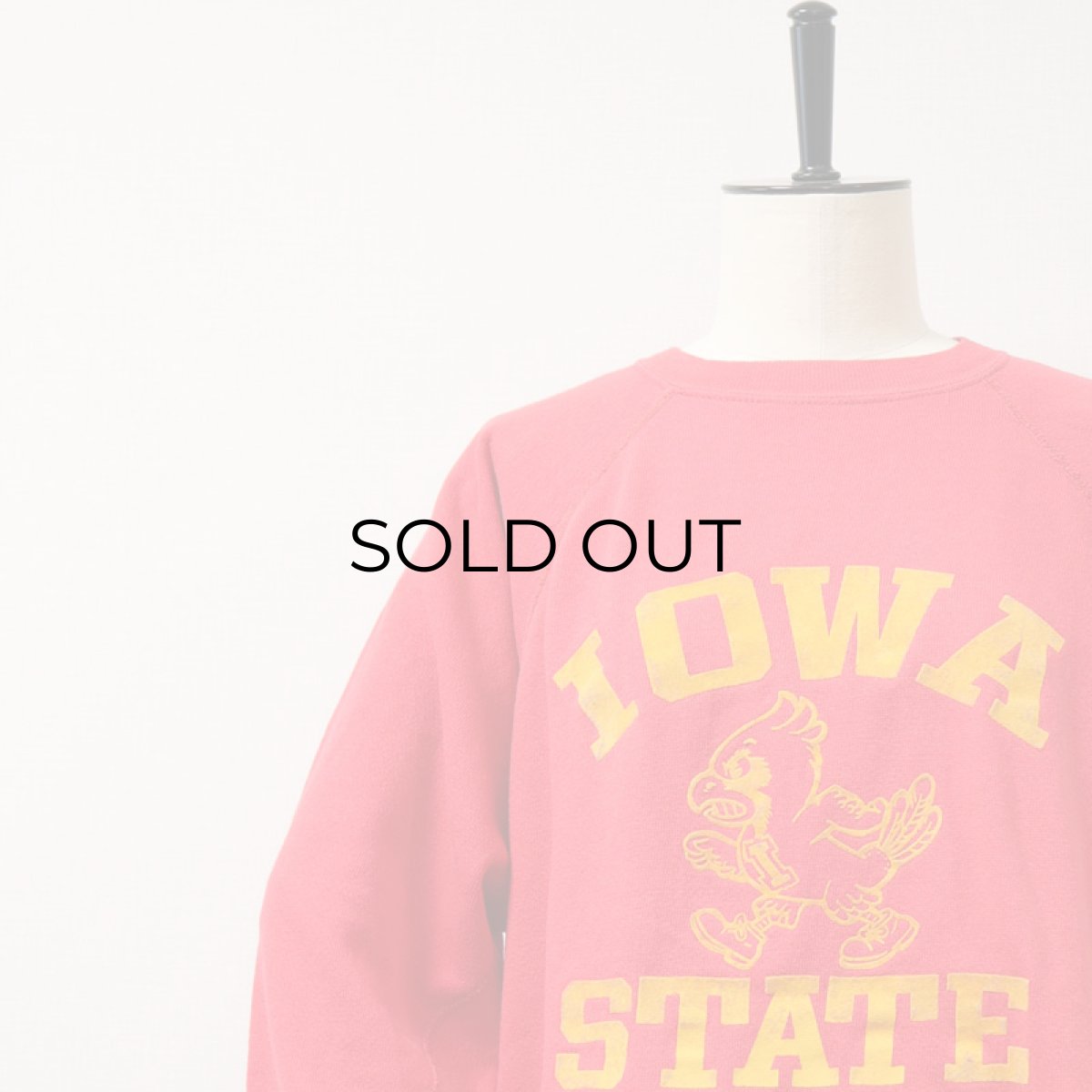 画像4: 〜80's ALTEX FLOCKY PRINT CREW NECK SWEAT "IOWA STATE" (4)