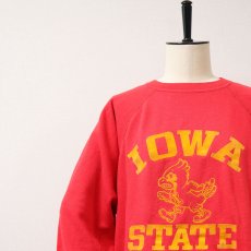 画像4: 〜80's ALTEX FLOCKY PRINT CREW NECK SWEAT "IOWA STATE" (4)