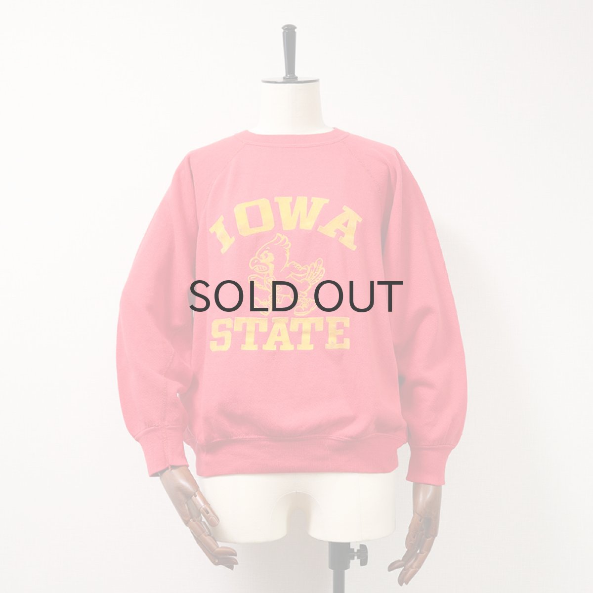 画像1: 〜80's ALTEX FLOCKY PRINT CREW NECK SWEAT "IOWA STATE" (1)