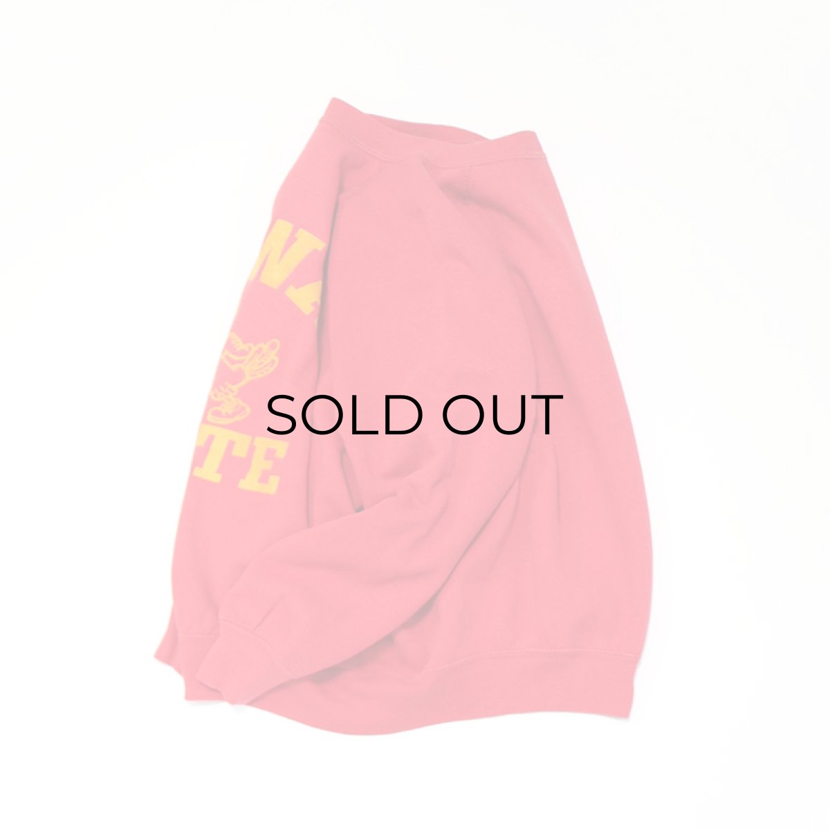 画像6: 〜80's ALTEX FLOCKY PRINT CREW NECK SWEAT "IOWA STATE" (6)