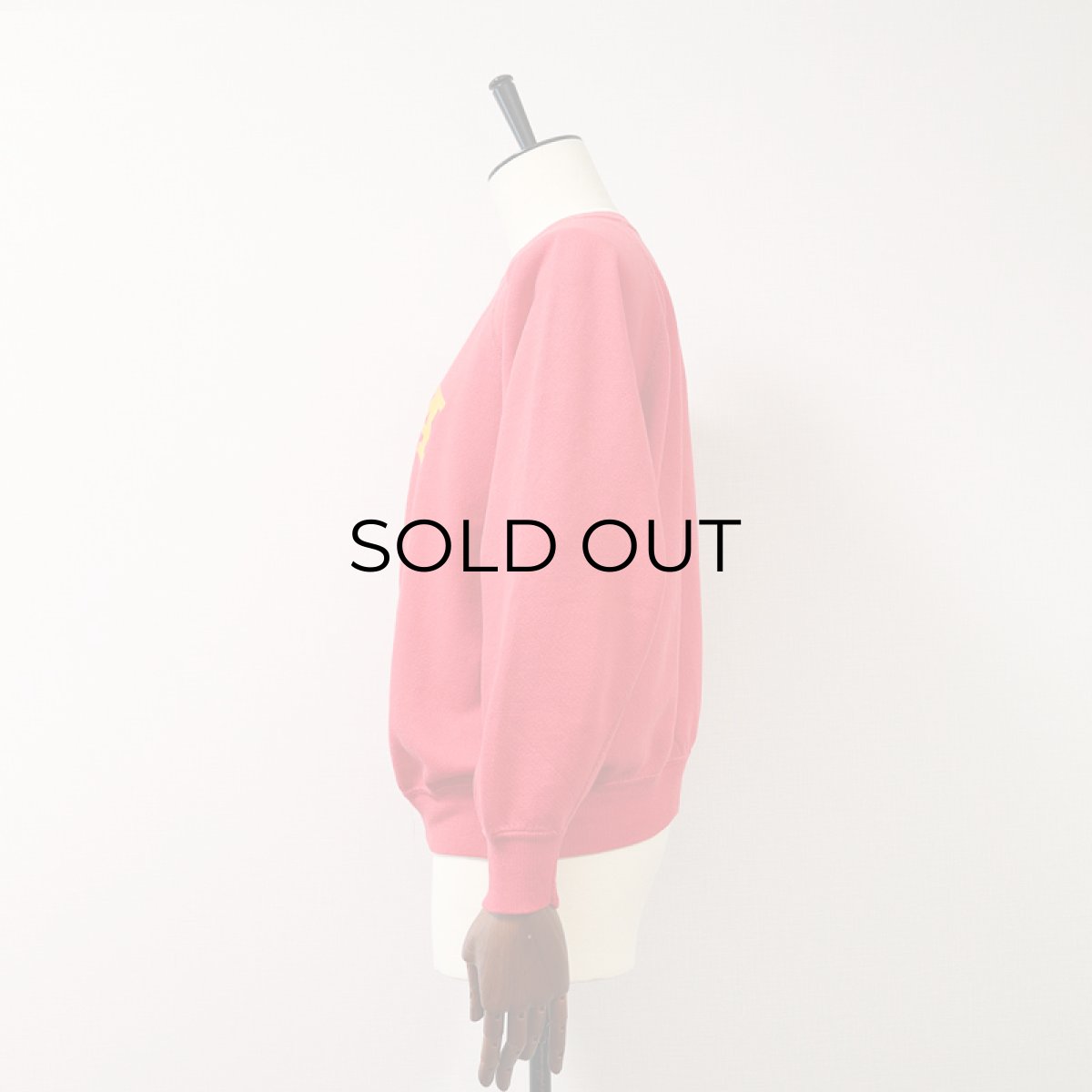 画像2: 〜80's ALTEX FLOCKY PRINT CREW NECK SWEAT "IOWA STATE" (2)