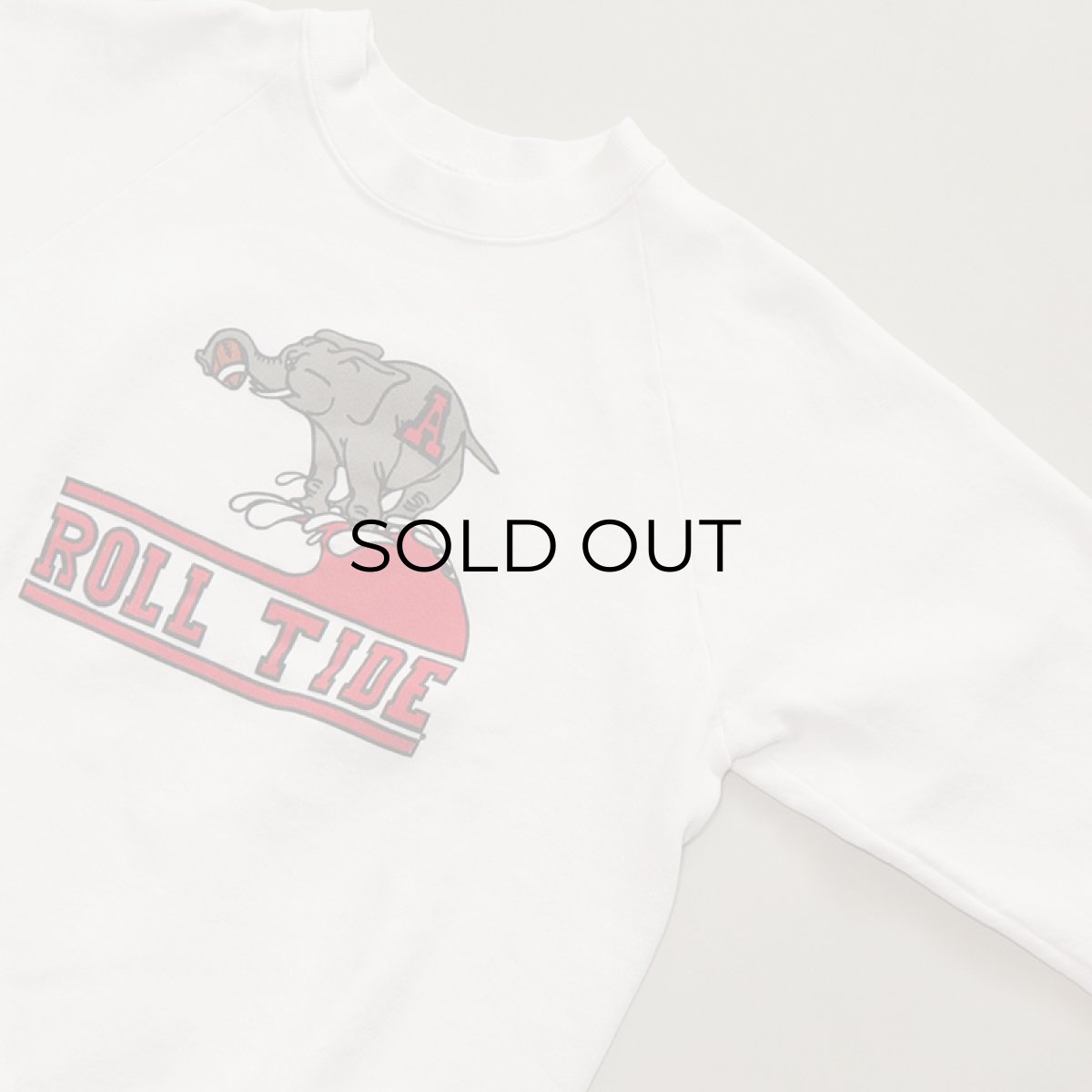 画像6: 80's FRUIT OF THE LOOM PRINT CREW NECK SWEAT "ROLL TIDE" (6)