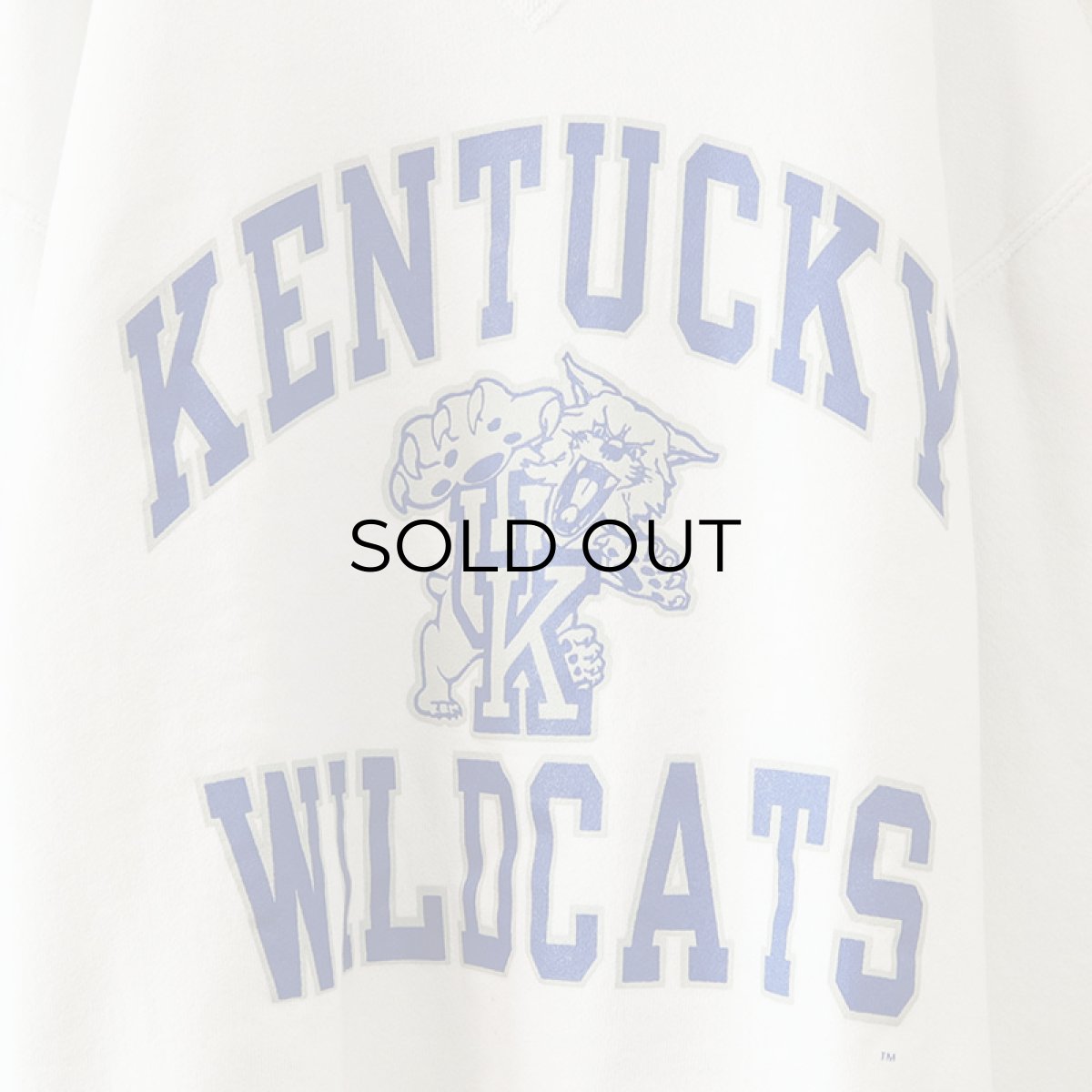 画像6: 90's RUSSELL PRINT CREW NECK SWEAT "KENTUCKY WILDCATS" (6)