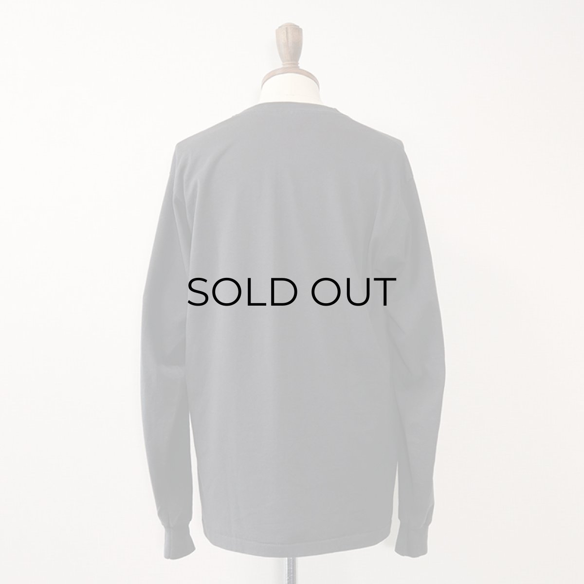 画像3: 80's SCREEN STARS PRINT L/S TEE "MYRIAD GARDENS RUN 89" (3)