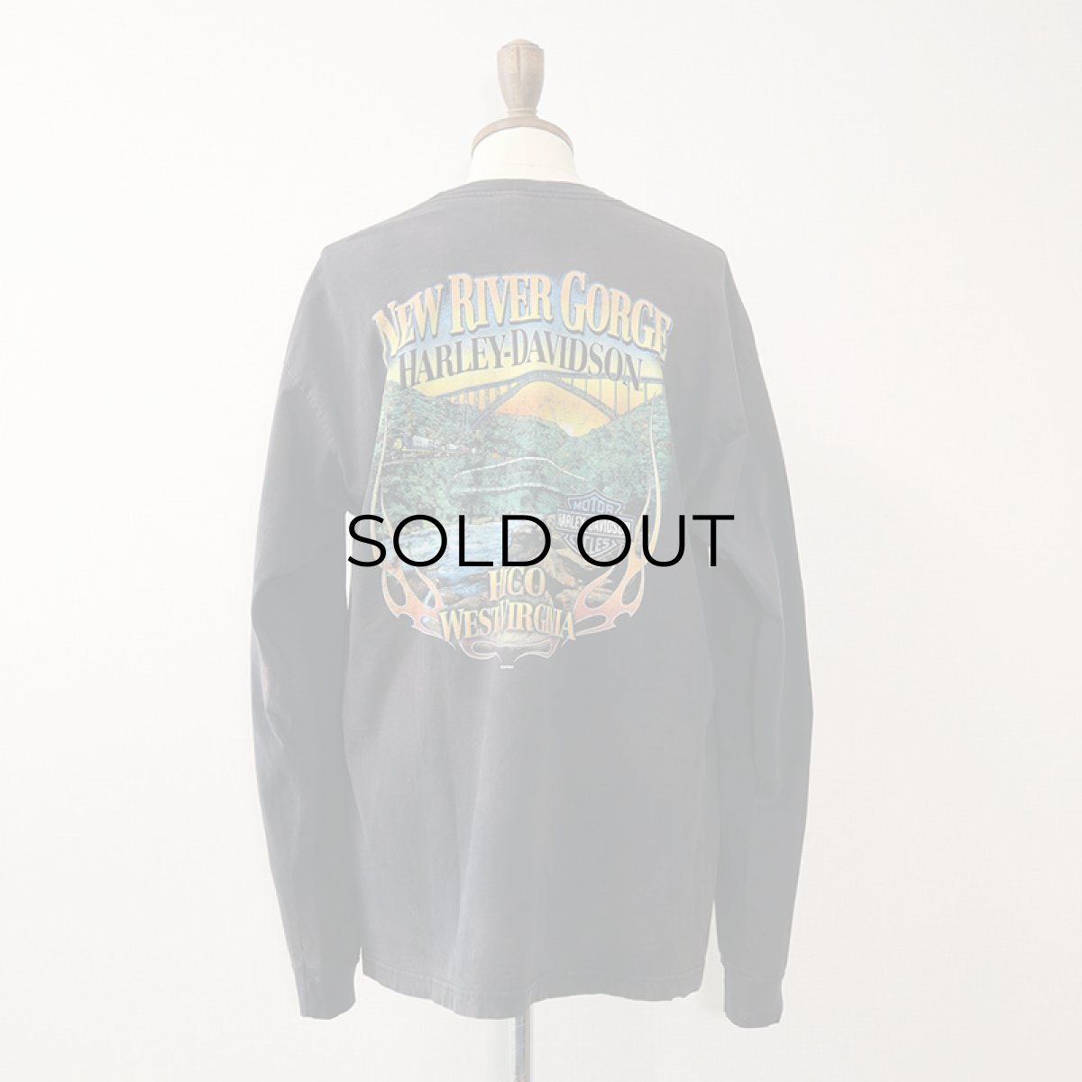 画像3: HARLEY-DAVIDSON COTTON W-PRINT L/S POCKET TEE "NEW RIVER GORGE" (3)