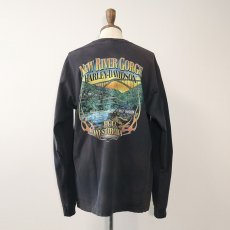 画像3: HARLEY-DAVIDSON COTTON W-PRINT L/S POCKET TEE "NEW RIVER GORGE" (3)