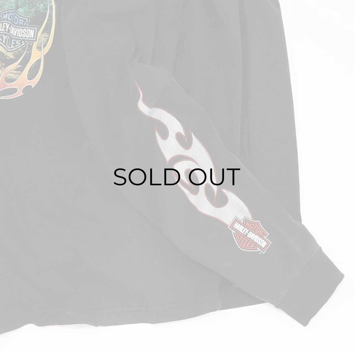 画像12: HARLEY-DAVIDSON COTTON W-PRINT L/S POCKET TEE "NEW RIVER GORGE" (12)