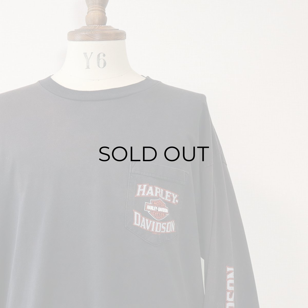 画像5: HARLEY-DAVIDSON COTTON W-PRINT L/S POCKET TEE "NEW RIVER GORGE" (5)