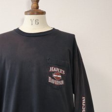 画像5: HARLEY-DAVIDSON COTTON W-PRINT L/S POCKET TEE "NEW RIVER GORGE" (5)