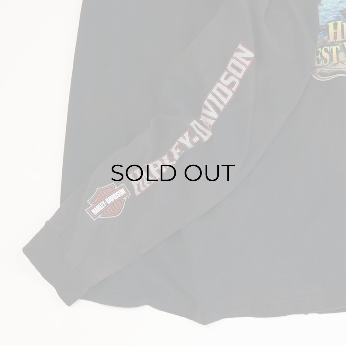 画像13: HARLEY-DAVIDSON COTTON W-PRINT L/S POCKET TEE "NEW RIVER GORGE" (13)