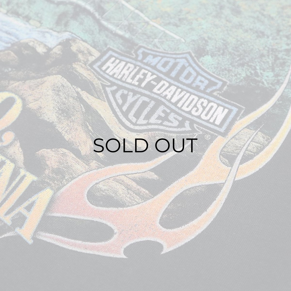 画像16: HARLEY-DAVIDSON COTTON W-PRINT L/S POCKET TEE "NEW RIVER GORGE" (16)