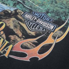 画像16: HARLEY-DAVIDSON COTTON W-PRINT L/S POCKET TEE "NEW RIVER GORGE" (16)