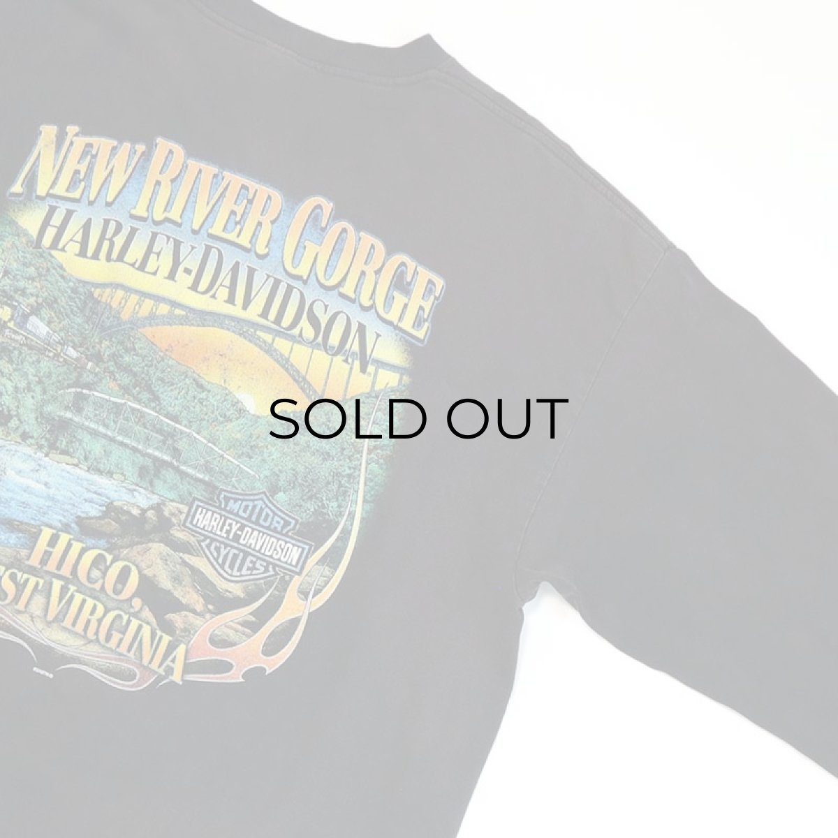 画像14: HARLEY-DAVIDSON COTTON W-PRINT L/S POCKET TEE "NEW RIVER GORGE" (14)