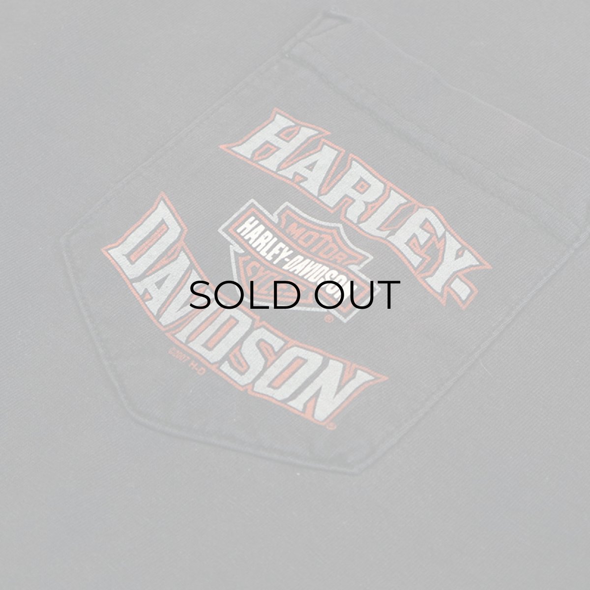 画像15: HARLEY-DAVIDSON COTTON W-PRINT L/S POCKET TEE "NEW RIVER GORGE" (15)