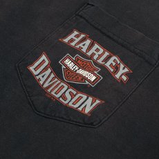 画像15: HARLEY-DAVIDSON COTTON W-PRINT L/S POCKET TEE "NEW RIVER GORGE" (15)