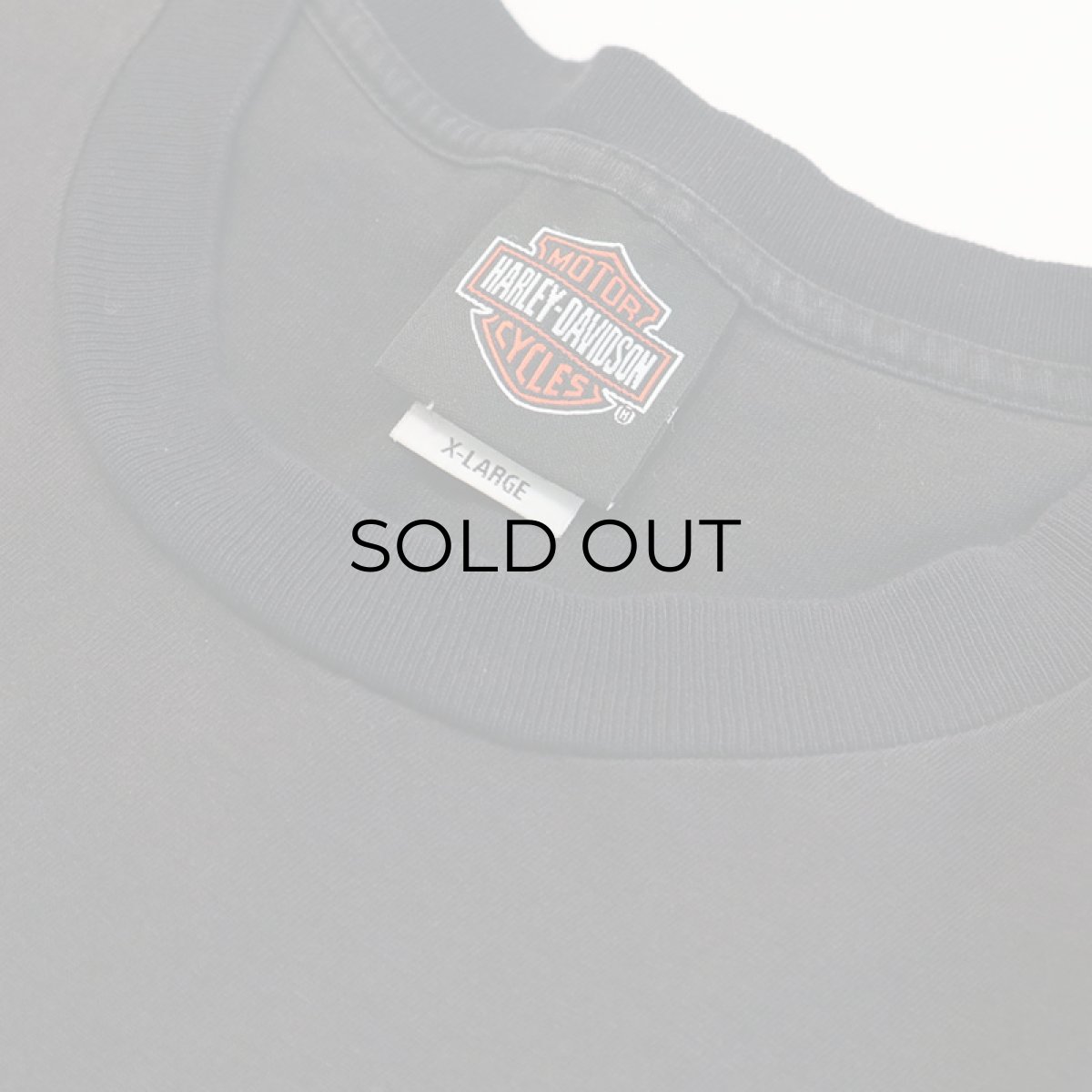 画像17: HARLEY-DAVIDSON COTTON W-PRINT L/S POCKET TEE "NEW RIVER GORGE" (17)