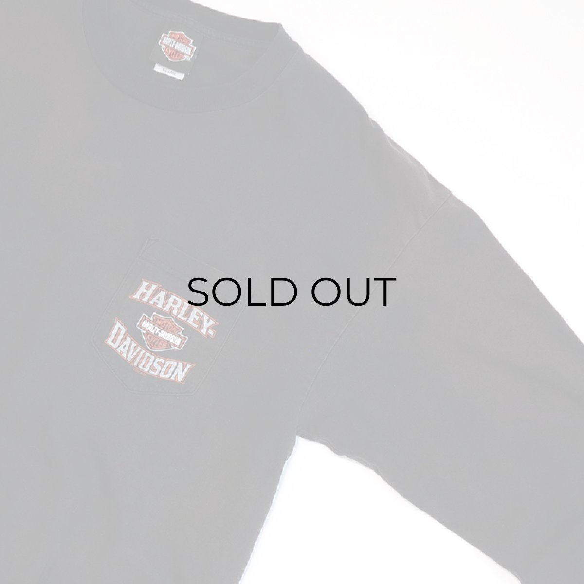 画像11: HARLEY-DAVIDSON COTTON W-PRINT L/S POCKET TEE "NEW RIVER GORGE" (11)