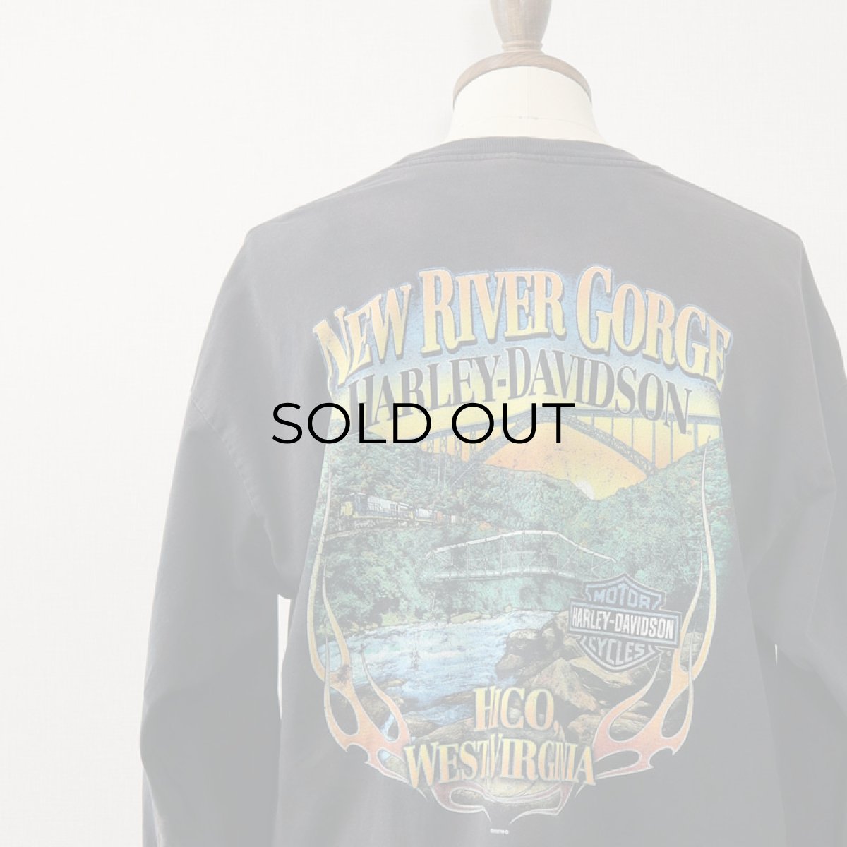 画像6: HARLEY-DAVIDSON COTTON W-PRINT L/S POCKET TEE "NEW RIVER GORGE" (6)