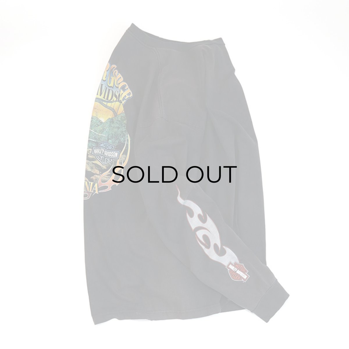 画像10: HARLEY-DAVIDSON COTTON W-PRINT L/S POCKET TEE "NEW RIVER GORGE" (10)