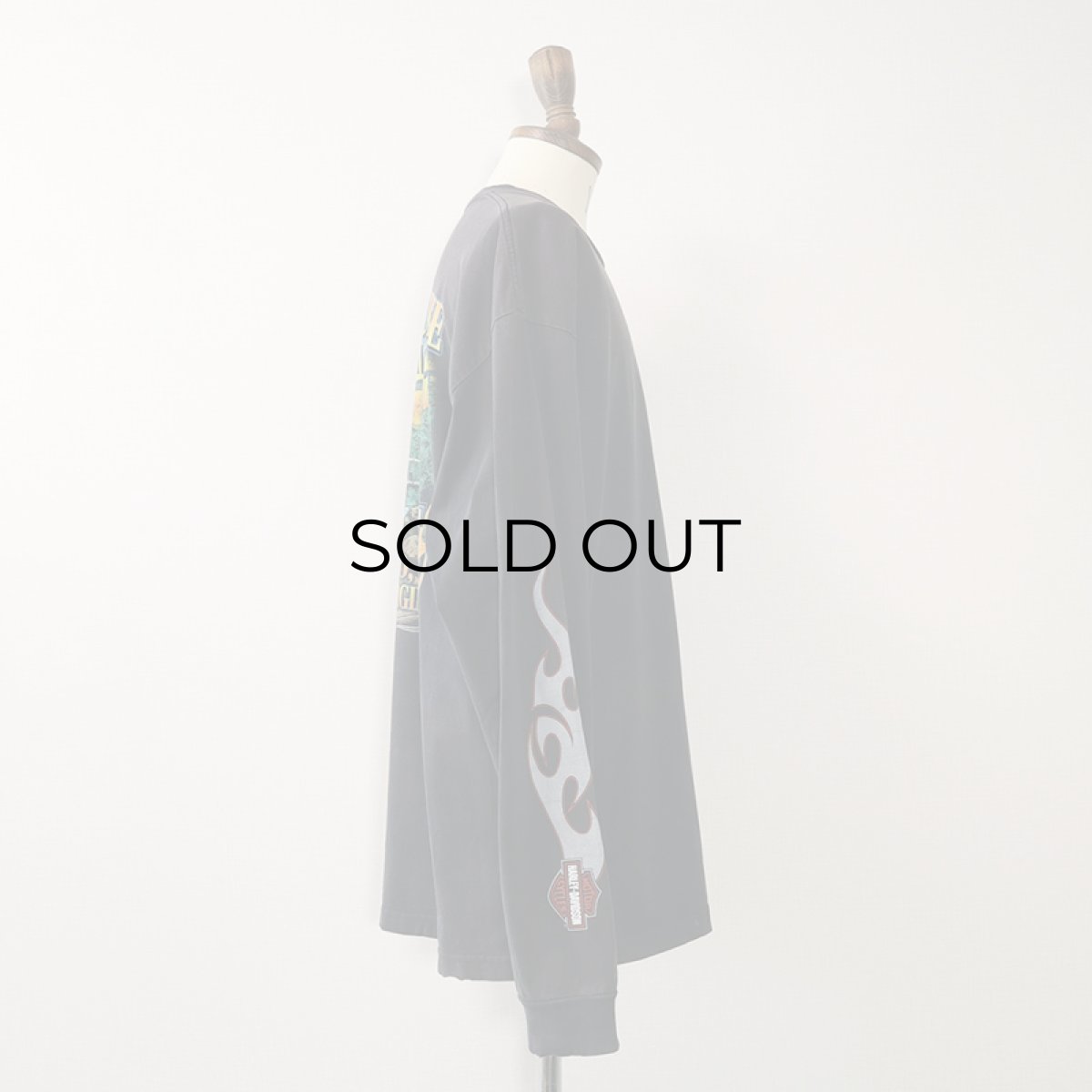 画像4: HARLEY-DAVIDSON COTTON W-PRINT L/S POCKET TEE "NEW RIVER GORGE" (4)