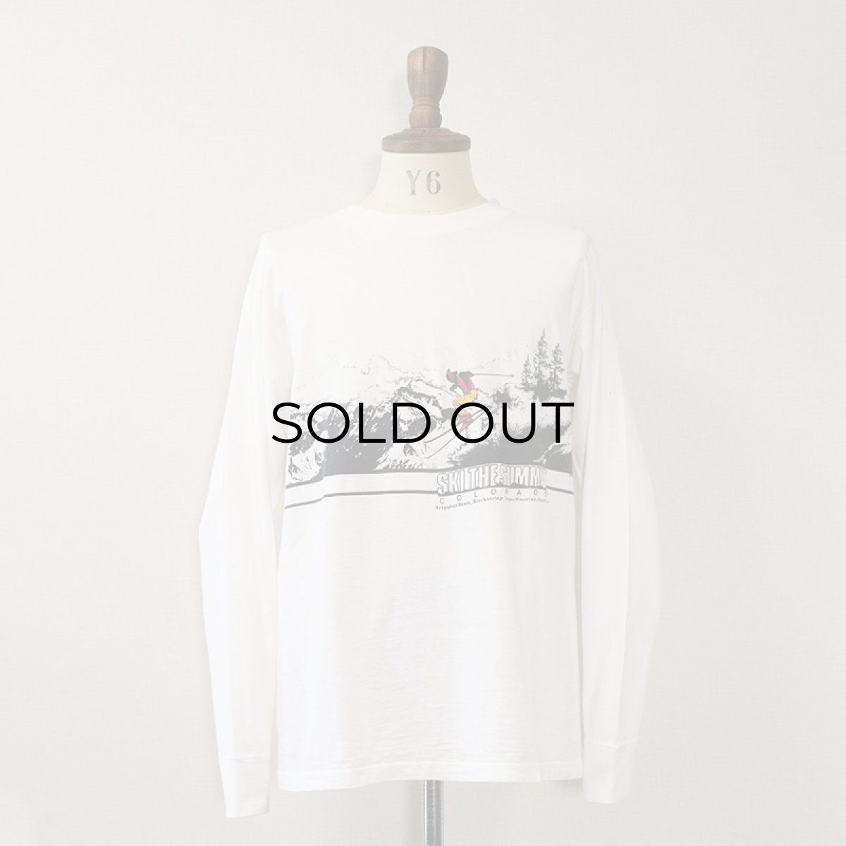 画像13: 80's ONEITA COTTON W-PRINT L/S TEE "SKI THE SUMMIT" (13)