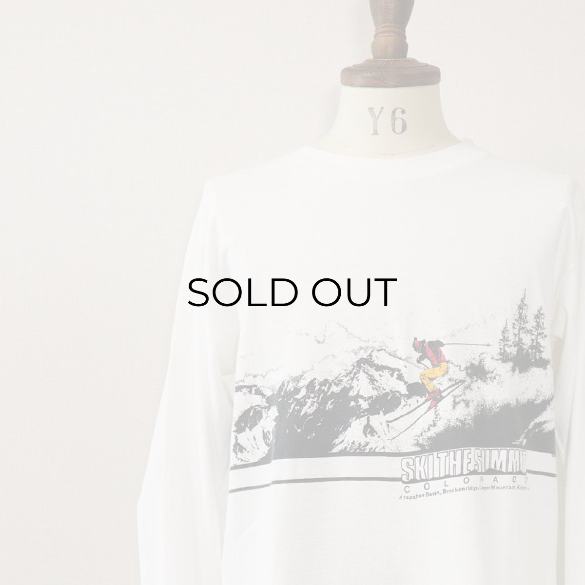 画像11: 80's ONEITA COTTON W-PRINT L/S TEE "SKI THE SUMMIT" (11)