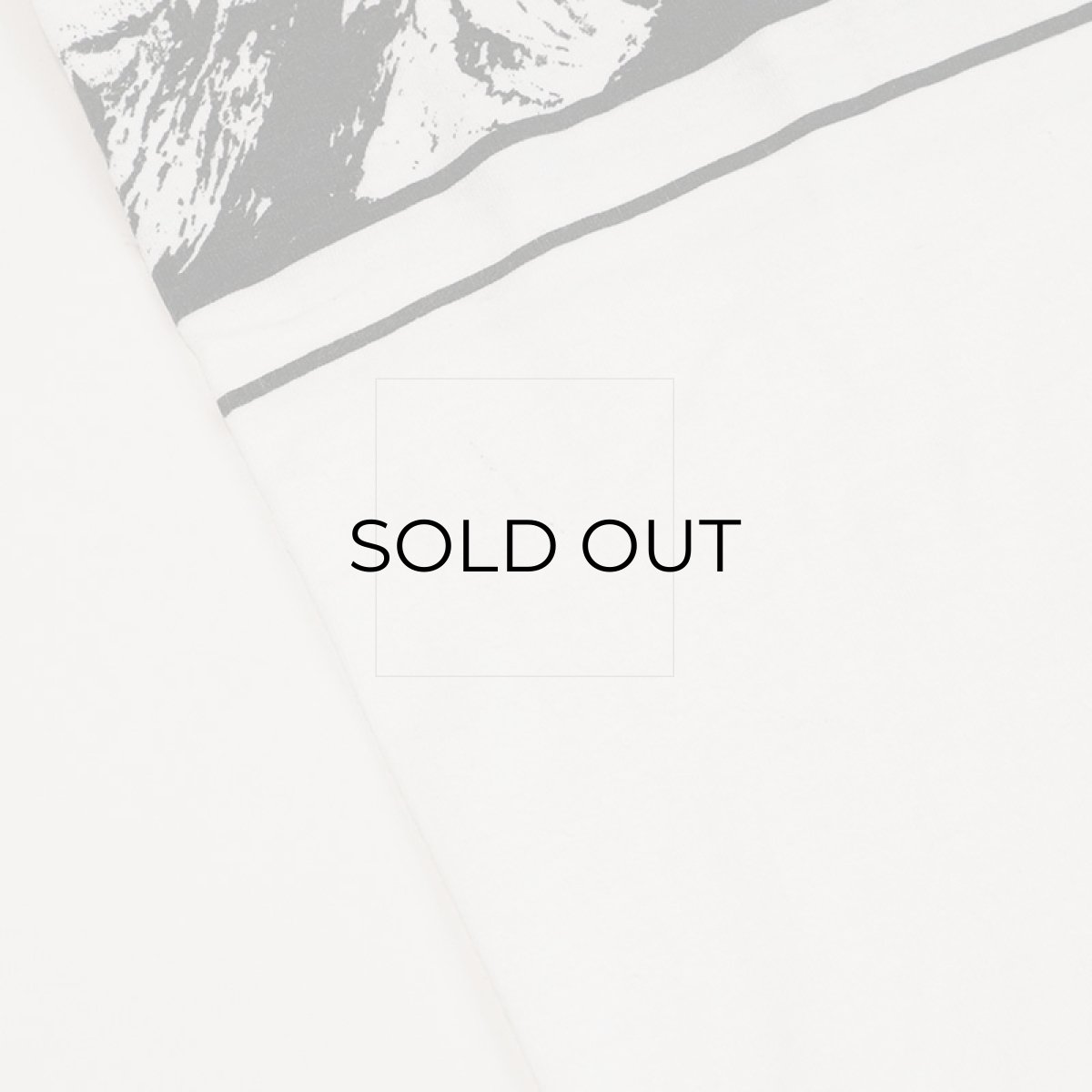 画像7: 80's ONEITA COTTON W-PRINT L/S TEE "SKI THE SUMMIT" (7)