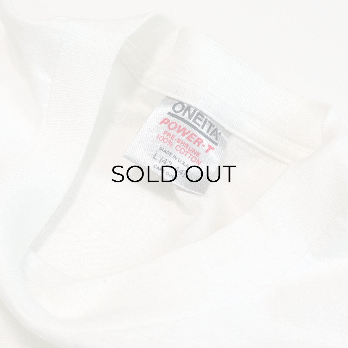 画像5: 80's ONEITA COTTON W-PRINT L/S TEE "SKI THE SUMMIT" (5)