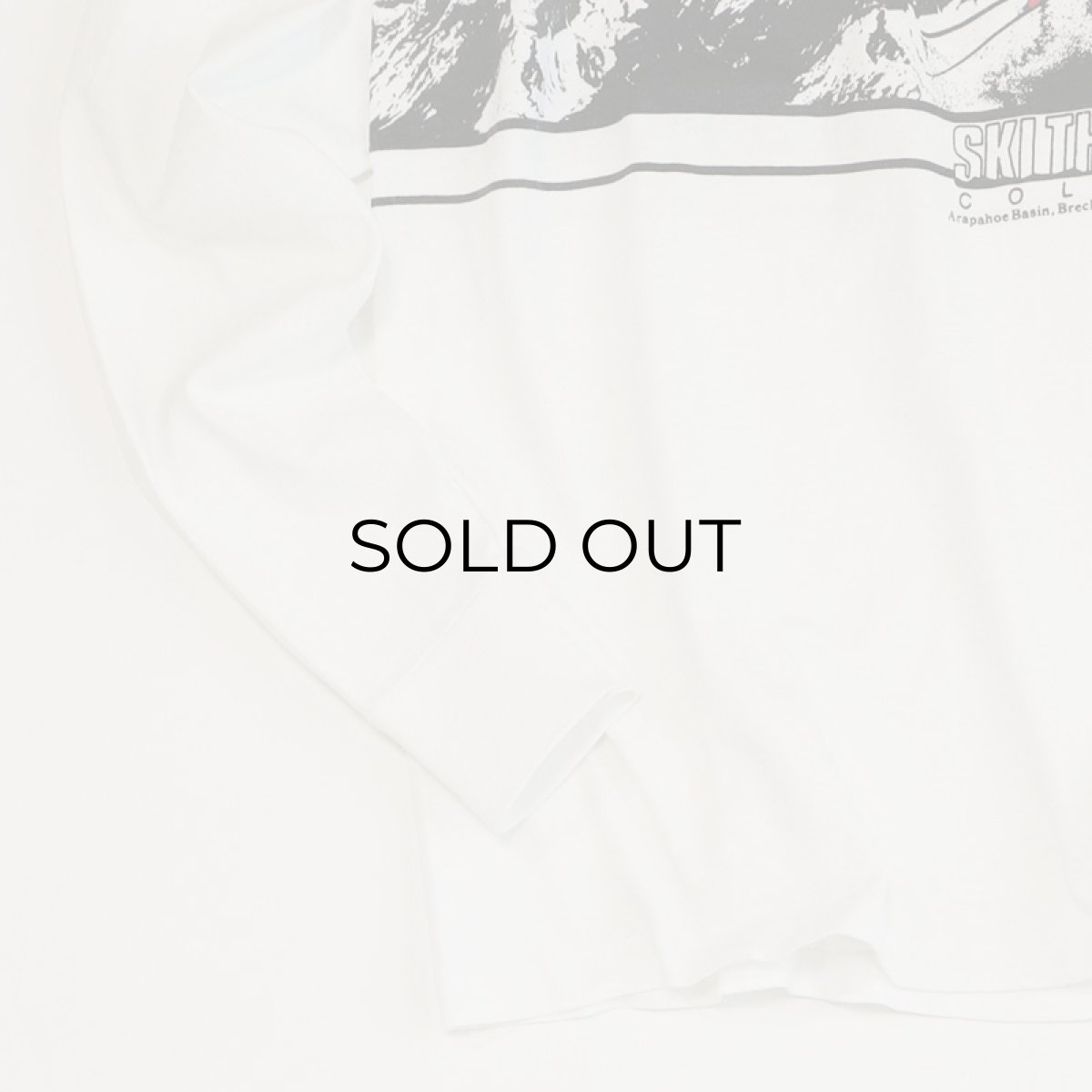 画像4: 80's ONEITA COTTON W-PRINT L/S TEE "SKI THE SUMMIT" (4)