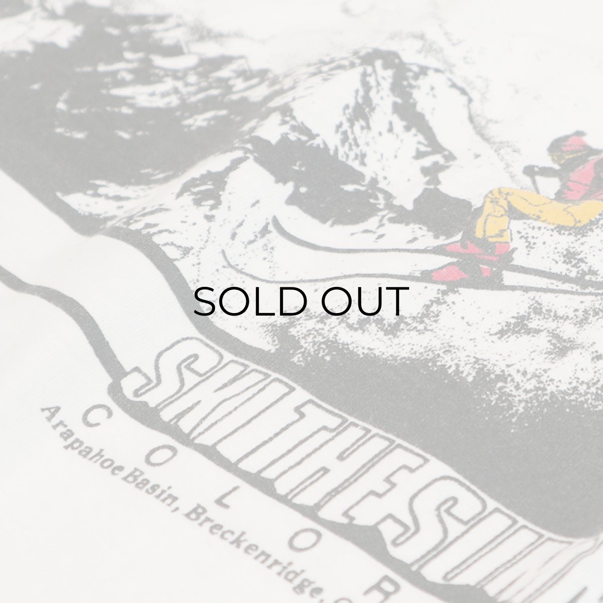 画像6: 80's ONEITA COTTON W-PRINT L/S TEE "SKI THE SUMMIT" (6)