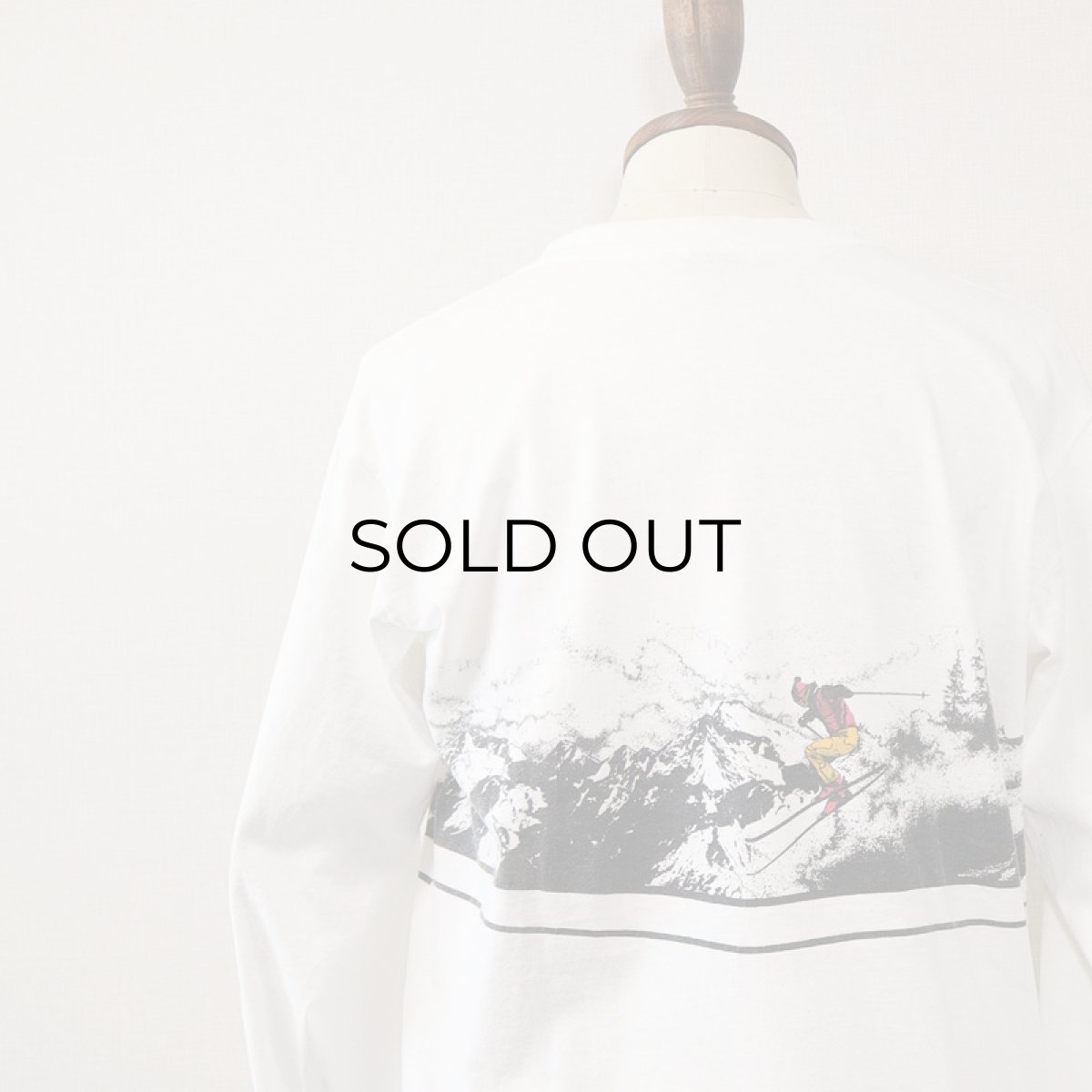 画像12: 80's ONEITA COTTON W-PRINT L/S TEE "SKI THE SUMMIT" (12)