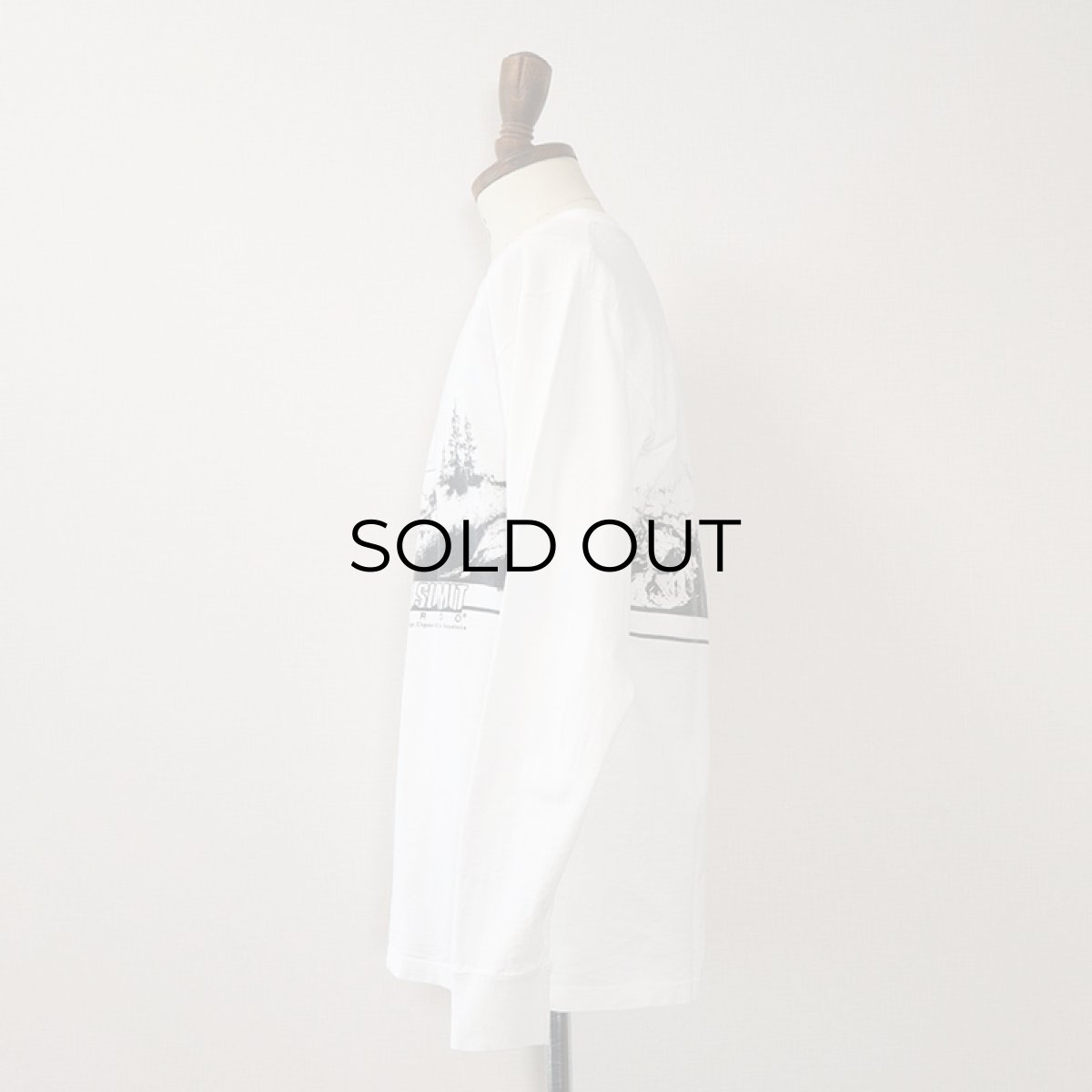 画像14: 80's ONEITA COTTON W-PRINT L/S TEE "SKI THE SUMMIT" (14)