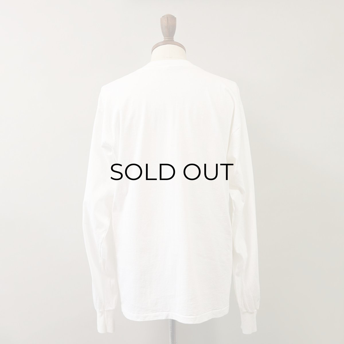 画像3: 90's AllSport COTTON PRINT L/S TEE "RIP'S SPRING RUSH and The Prelude" (3)