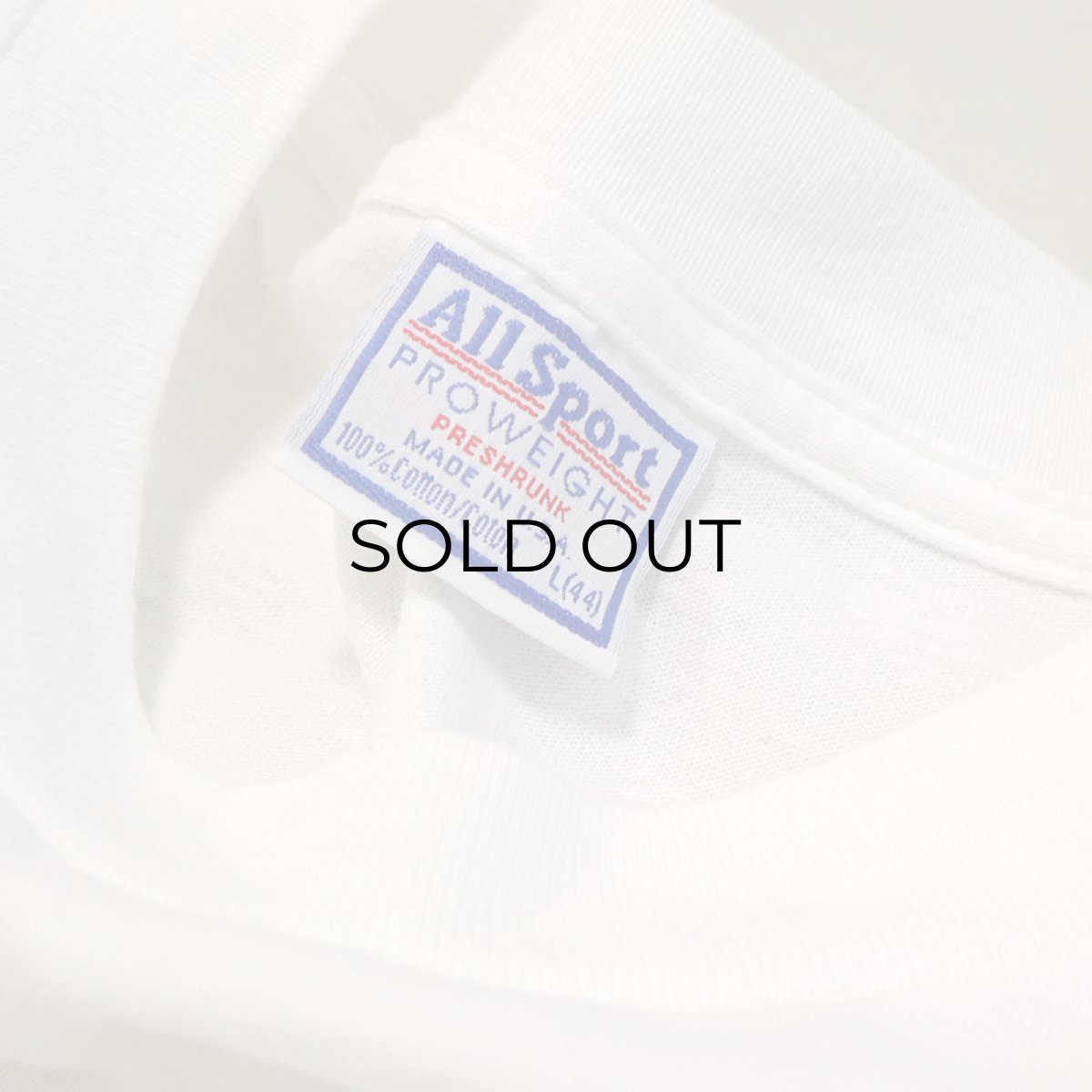 画像11: 90's AllSport COTTON PRINT L/S TEE "RIP'S SPRING RUSH and The Prelude" (11)