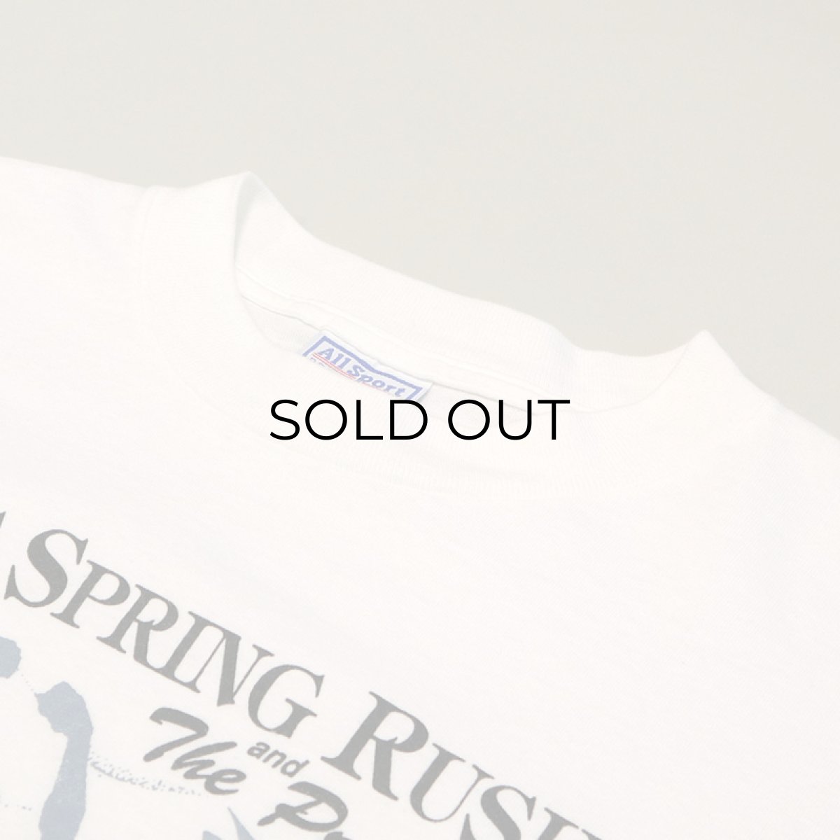 画像10: 90's AllSport COTTON PRINT L/S TEE "RIP'S SPRING RUSH and The Prelude" (10)