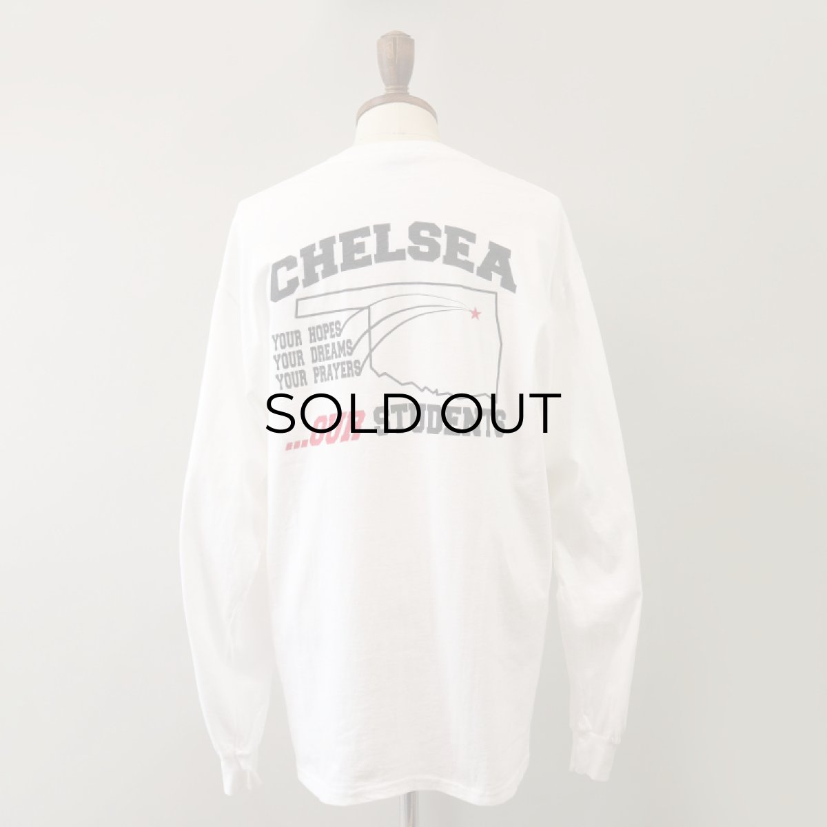 画像3: 90's-00's Hanes COTTON W-PRINT L/S TEE "CHELSEA PUBLIC SCHOOLS" (3)