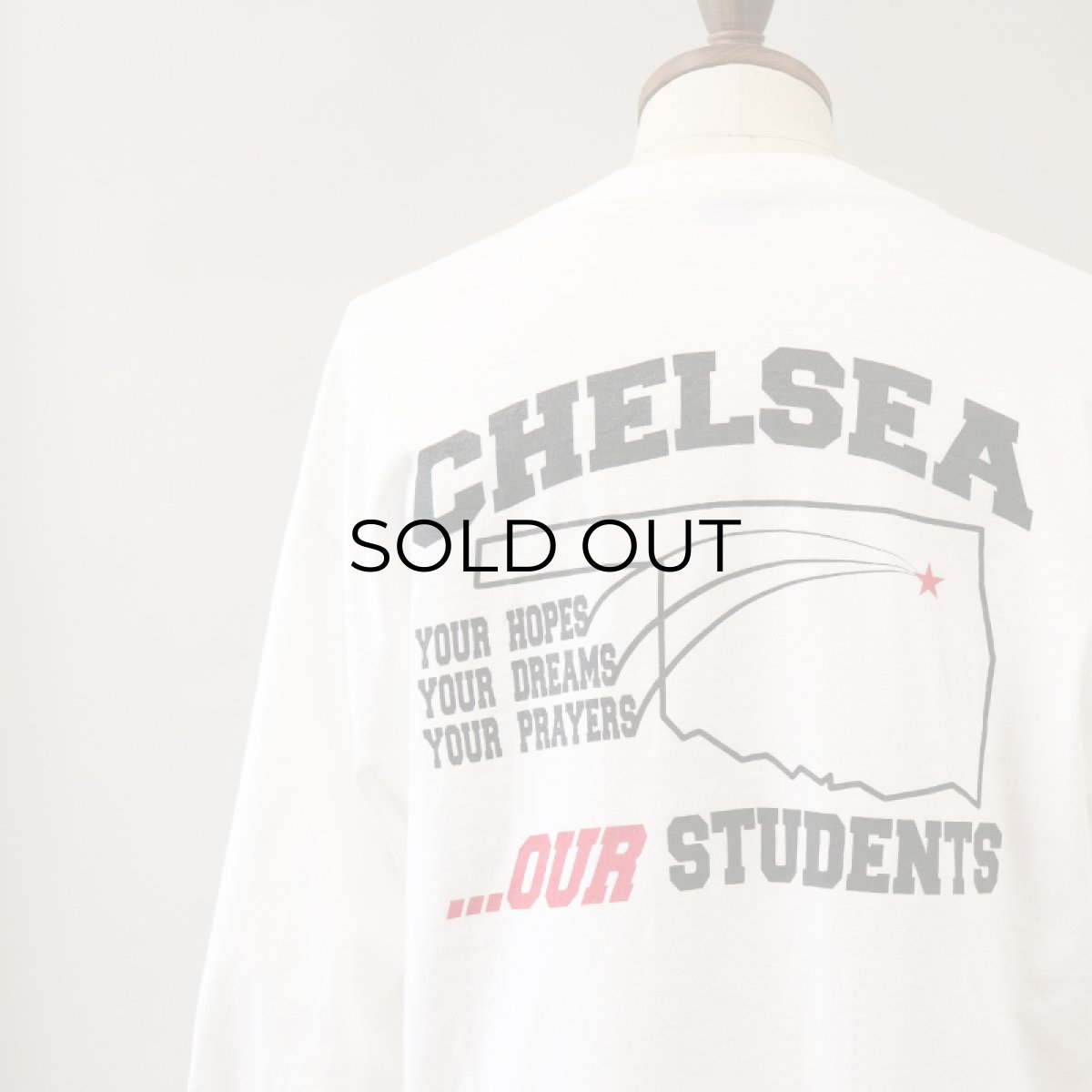 画像6: 90's-00's Hanes COTTON W-PRINT L/S TEE "CHELSEA PUBLIC SCHOOLS" (6)