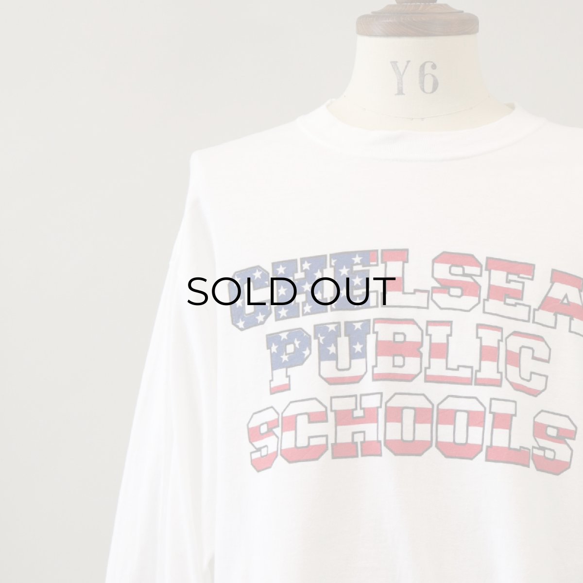 画像5: 90's-00's Hanes COTTON W-PRINT L/S TEE "CHELSEA PUBLIC SCHOOLS" (5)