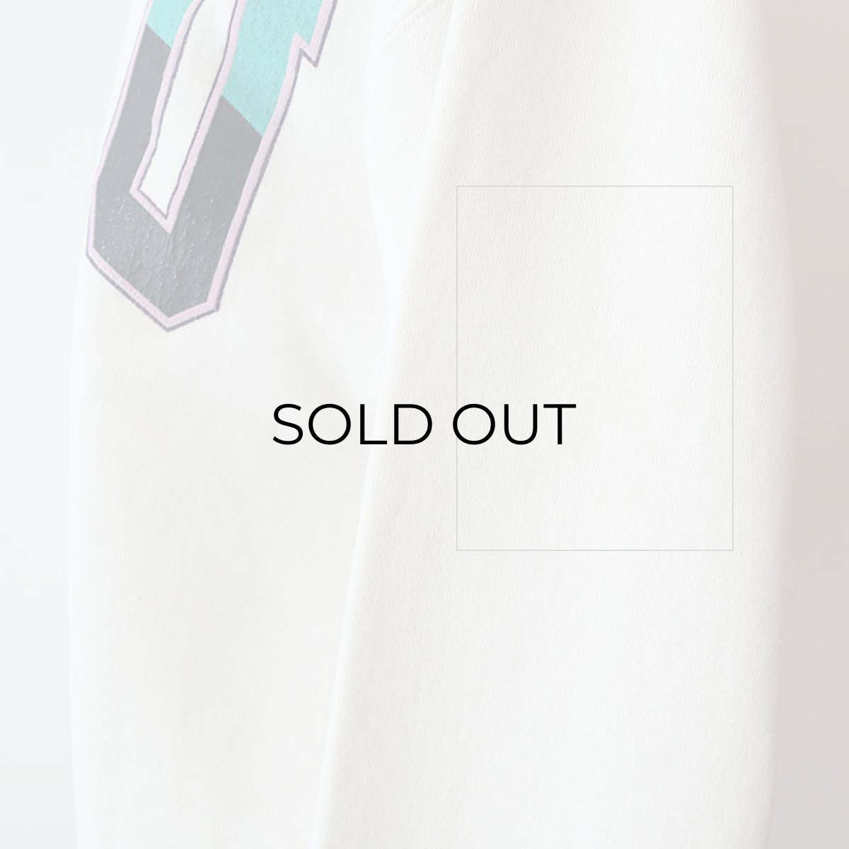 画像9: 90's JANSPORT PRINT CREW NECK SWEAT "BGSU" (9)