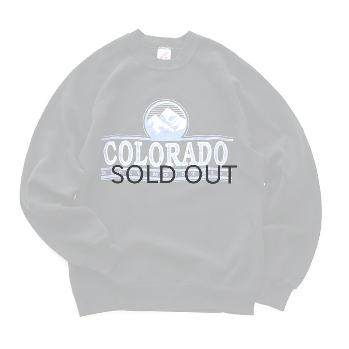 画像1: 〜90's JERZEES PRINT CREW NECK SWEAT "COLORADO ROCKY MOUNTAINS" (1)